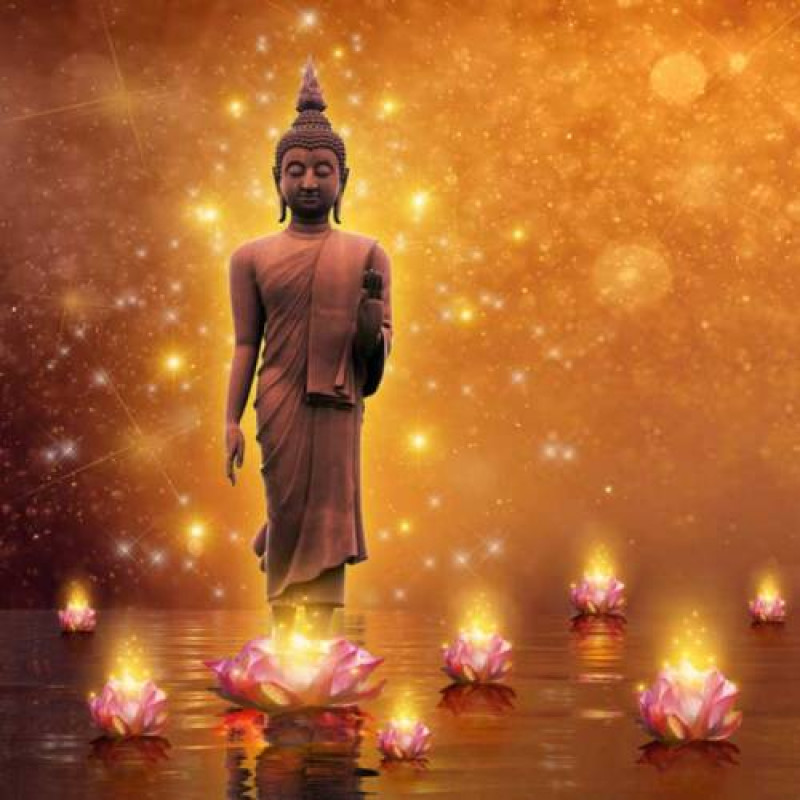 Learn Astrology Courses in Delhi