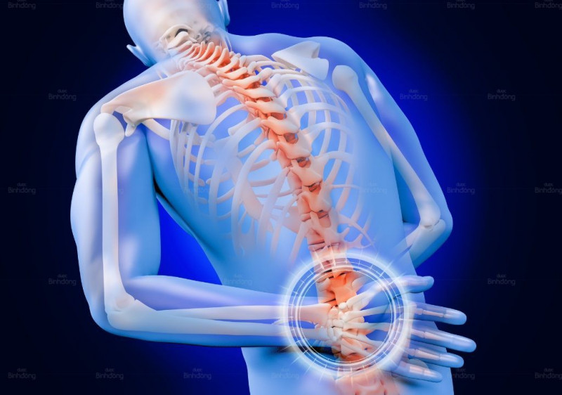 Vì sao mắc bệnh thận có cảm giác đau lưng? Cách điều trị từ Dược Bình Đông: 