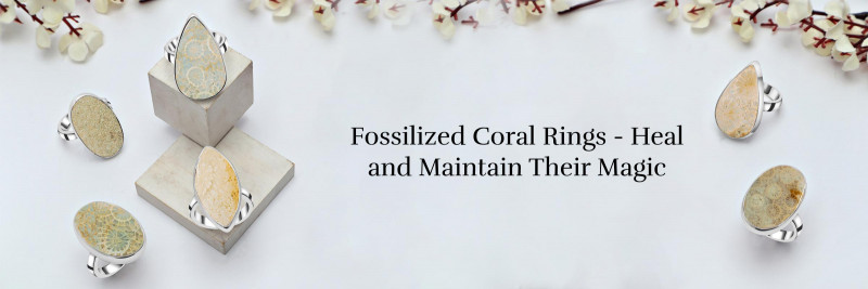 Rings of Fossilised Coral: An Organic Source of Peace and Harmony: 