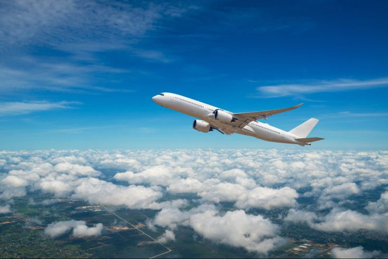 Southwest Airlines PHX Terminal +1-888-839-0502: 