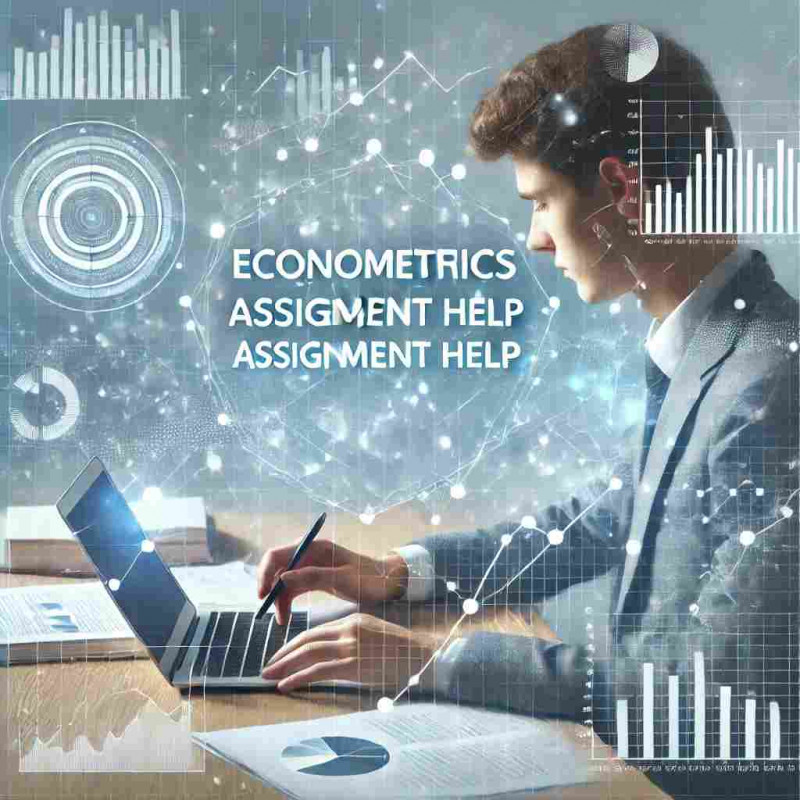How to Approach Your Econometrics Assignment Effectively: 
