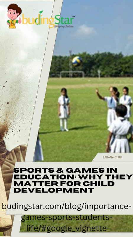 Why Are Sports and Games Important in Education: 
