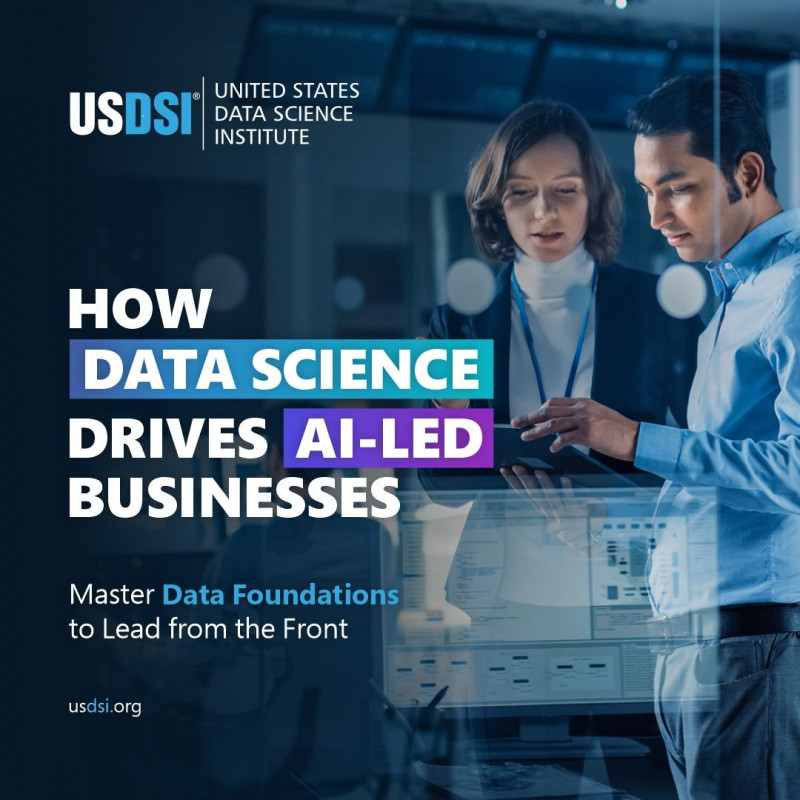 HOW DATA SCIENCE DRIVES AI-LED BUSINESSES: 
