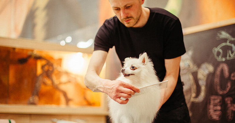 Pamper Your Pup with the Best Dog Bathing Services: 