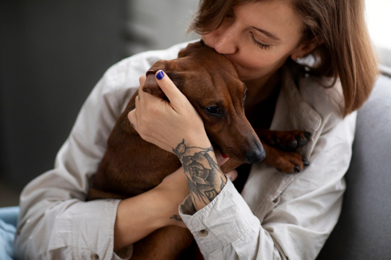 Pets Dental Health Services - My Pookie's Spaw | Expert Mobile Dog Grooming: 