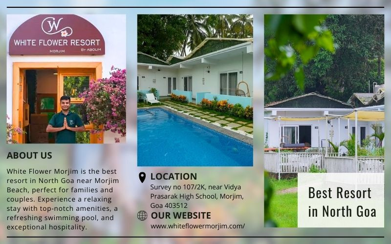 White Flower Morjim: The Best Resort in North Goa Near Morjim Beach: 