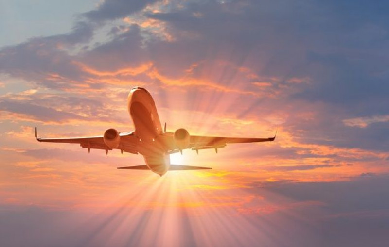 Turkish Airlines Honolulu office +1-888-839-0502: 