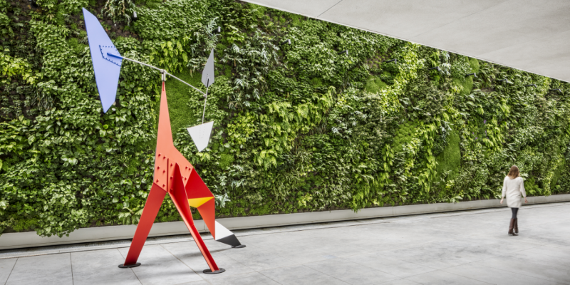 Urban Biodiversity Starts with a Single Green Wall: 