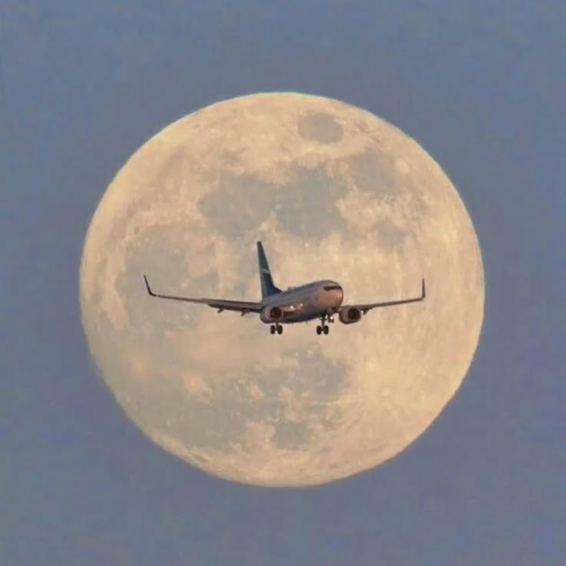 KLM Airlines Tampa Office +1–888–839–0502: 