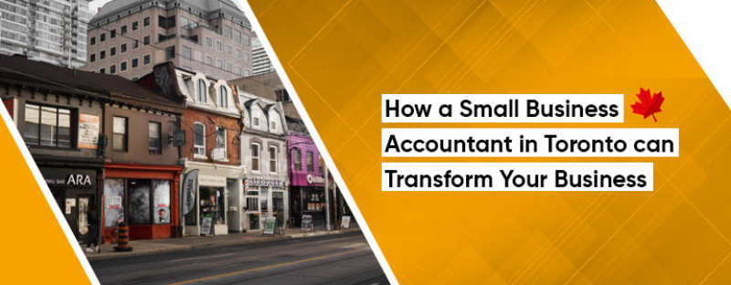 How a Small Business Accountant in Toronto Can Transform Your Business: 