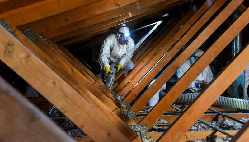 Affordable Attic & Crawl Space Services | Expert Solutions: 