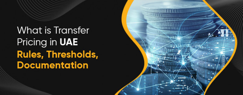 What is Transfer Pricing in UAE?