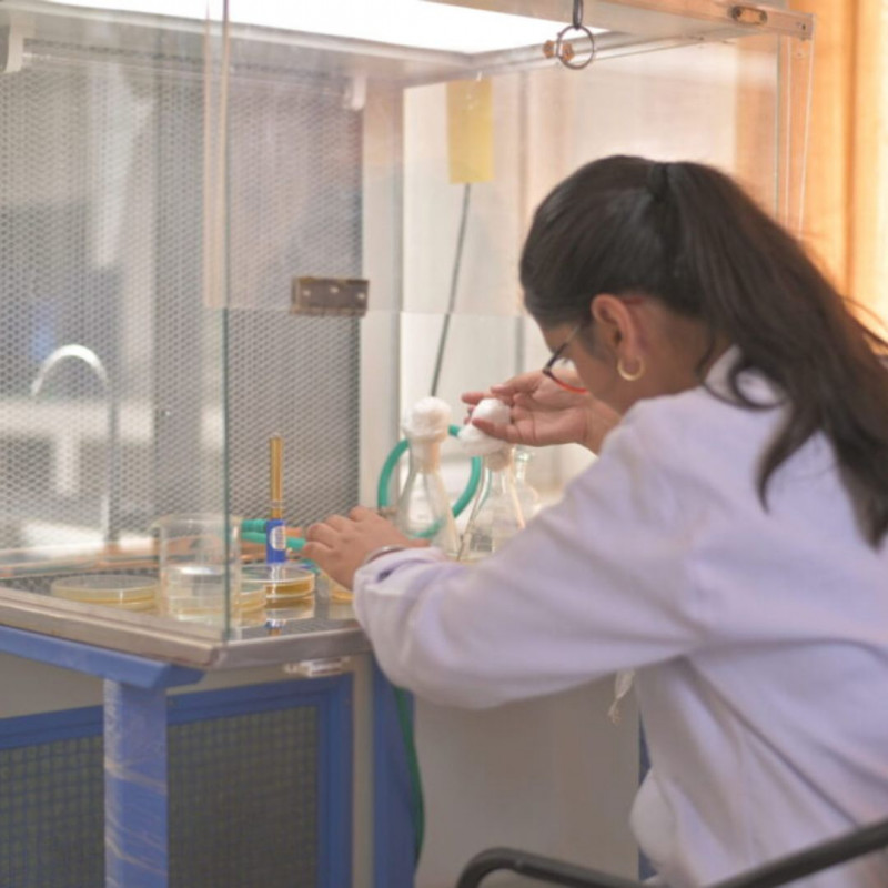 Top D Pharmacy Colleges in Lucknow for Future Pharmacists: 