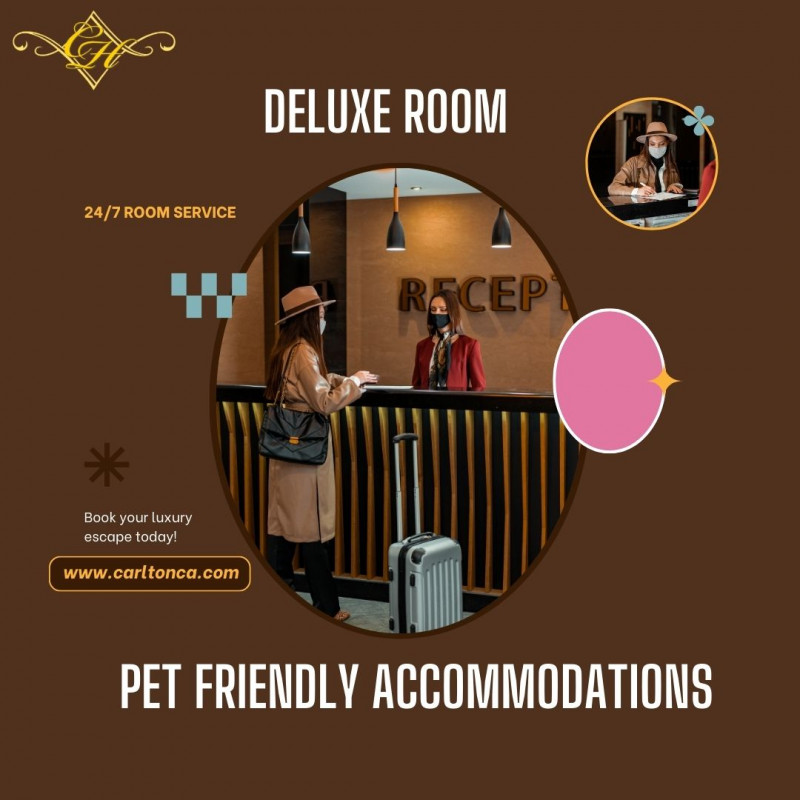 pet friendly accommodations