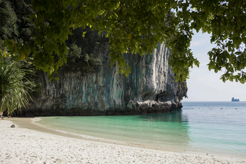 Krabi Jungle Tours: Hot Springs, Emerald Pool & Tiger Cave Temple
