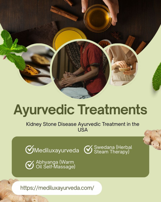 Kidney Stone Disease Ayurvedic Treatment in the USA: 
