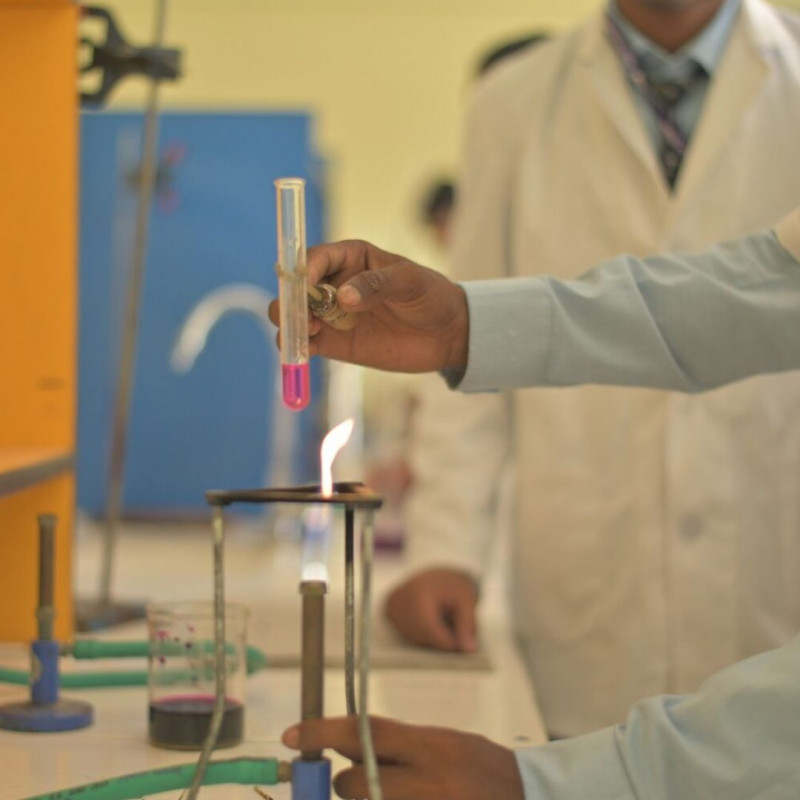B Pharmacy Entrance Exam – Your First Step Toward Pharma Success: 