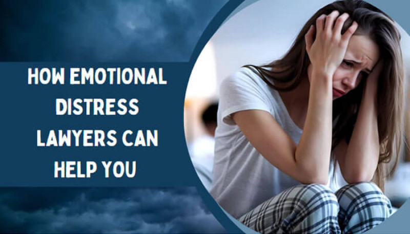 How Emotional Distress Lawyers Can Help You and How to Choose One: 