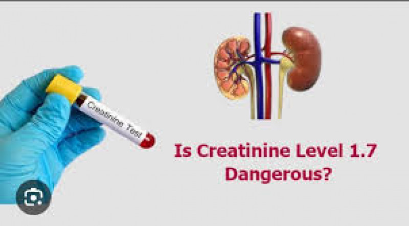 What Level of Creatinine Is Dangerous: 