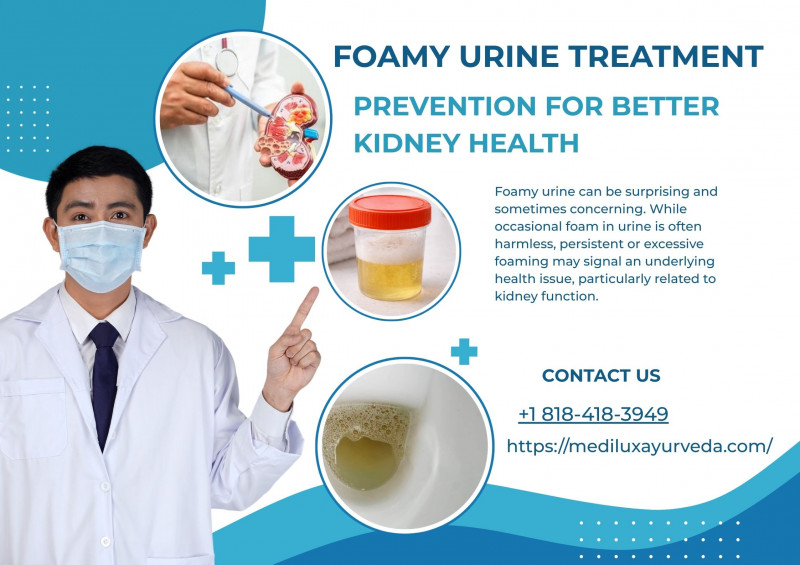 Foamy Urine Treatment and Prevention for Better Kidney Health: 