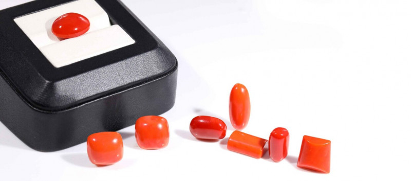 Astrological Benefits of Red Coral (Moonga): 