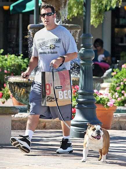 Adam Sandler's Outfits: adam sandler perro,  adam sandler pants,  luggage and bags,  companion dog,  adam sandler,  dog walking  